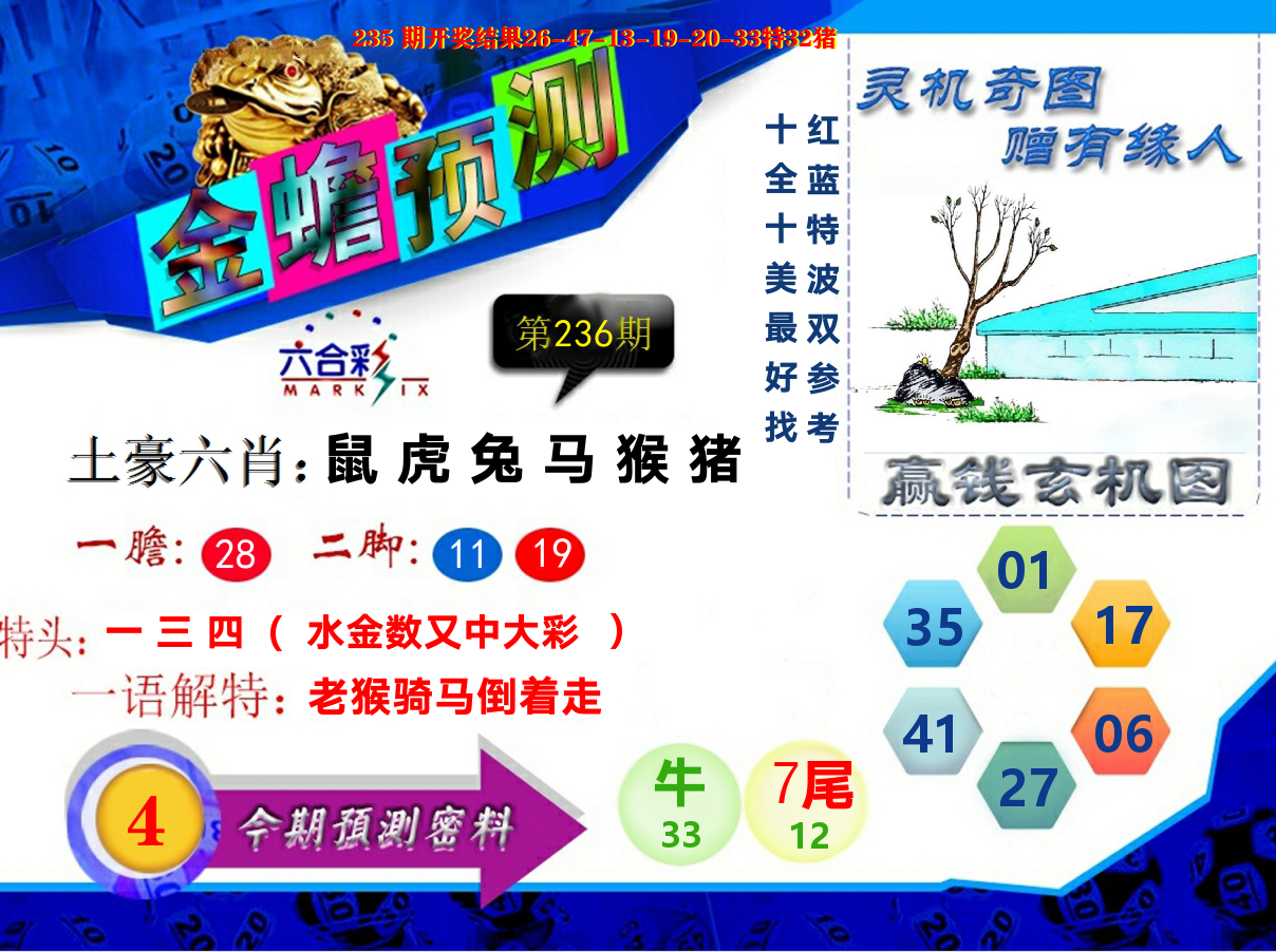 金蟾预测 第236期
