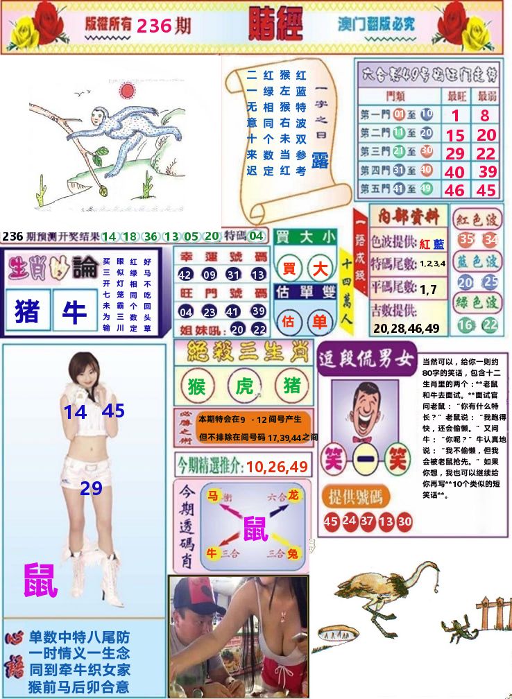 澳门赌经 第236期