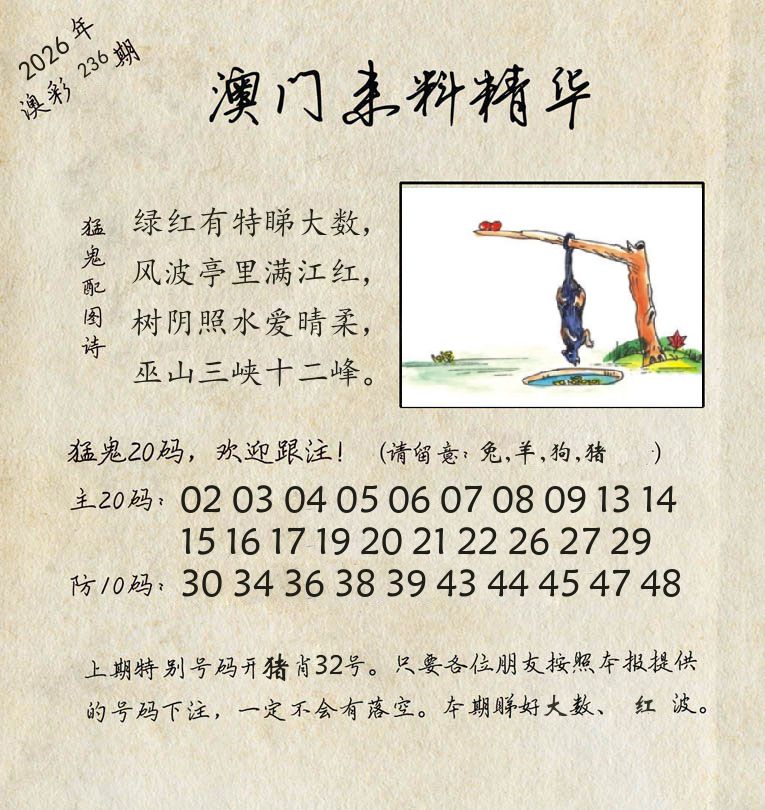 精华来料 第236期