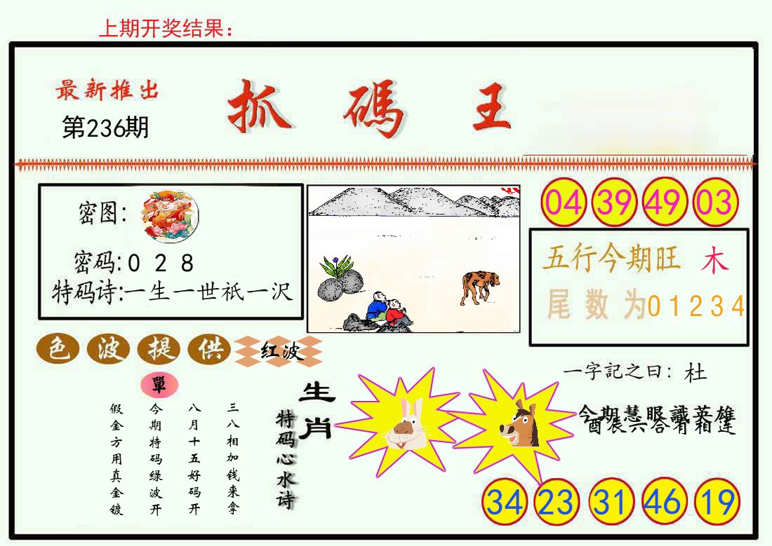 最新抓码王 第236期