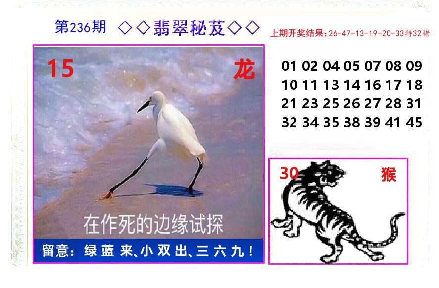 翡翠秘芨 第236期