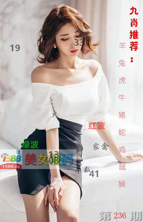 美女报码 第236期