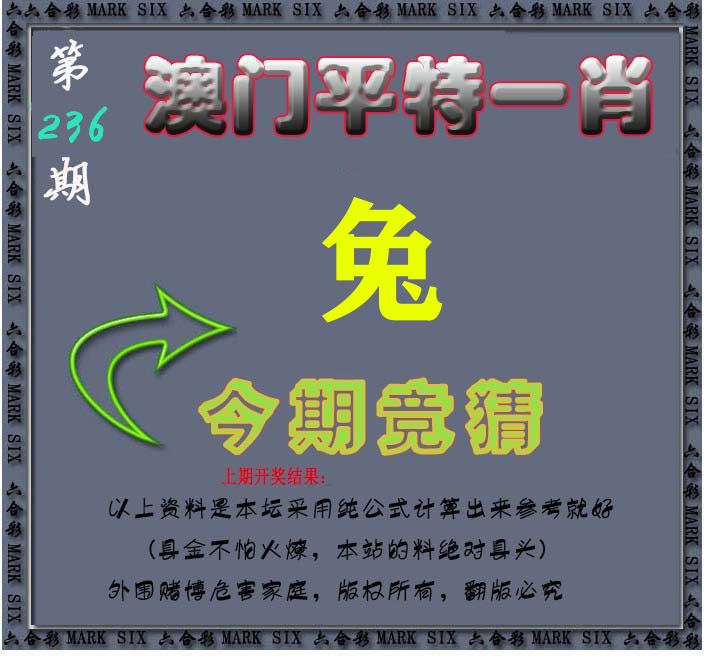 今期竞猜 第236期