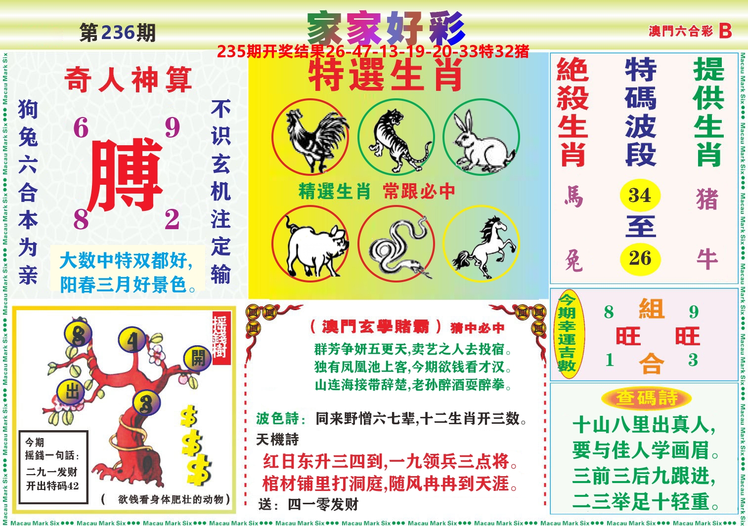 家家好彩B 第236期