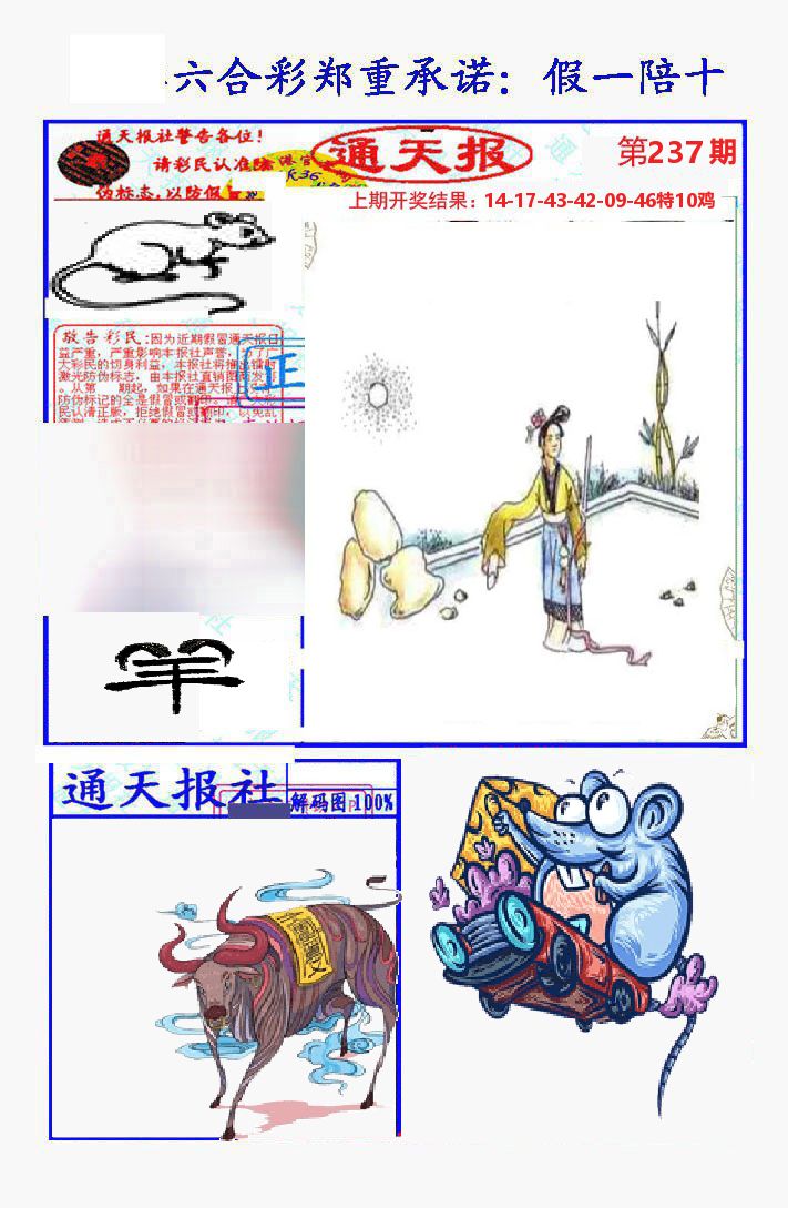 通天报 第237期