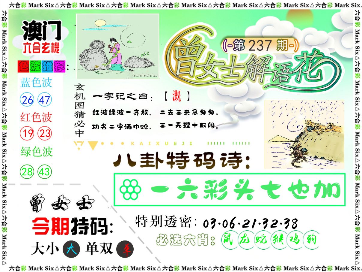 曾女士解语花 第237期