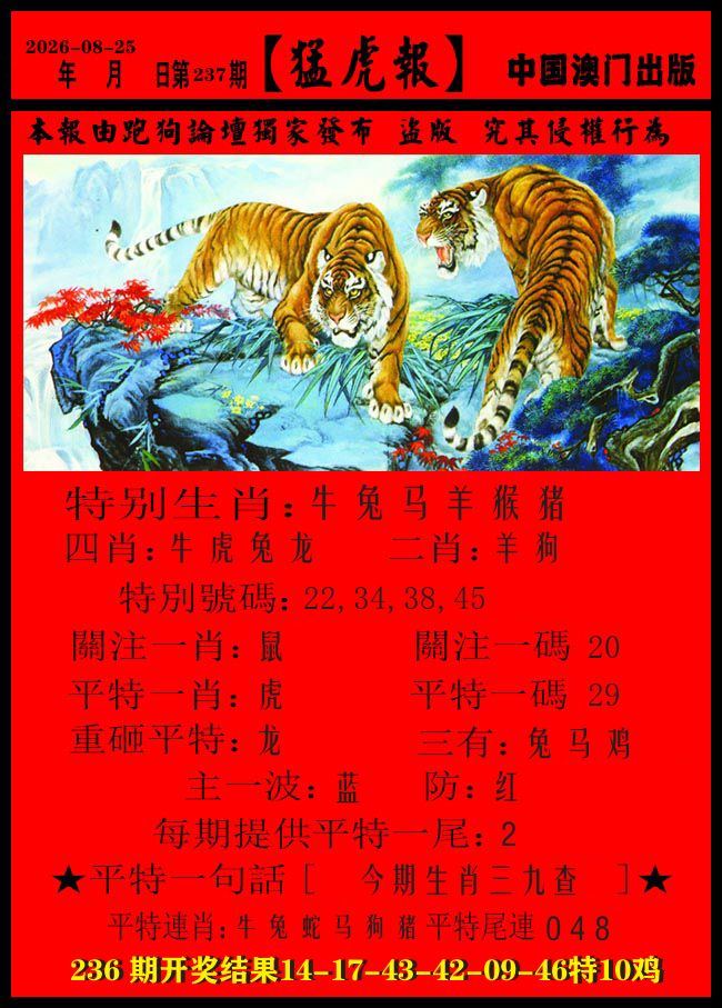 猛虎报 第237期