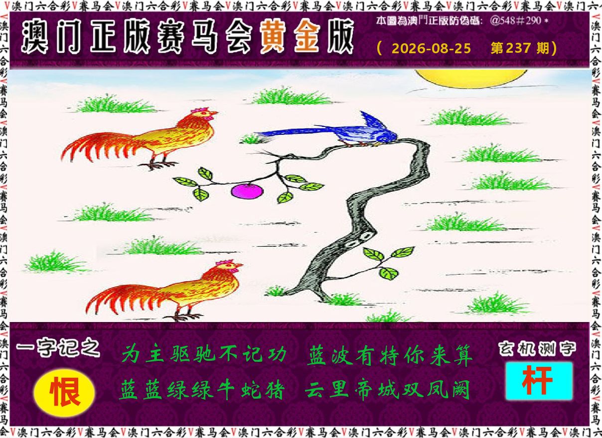 赛马会黄金版 第237期