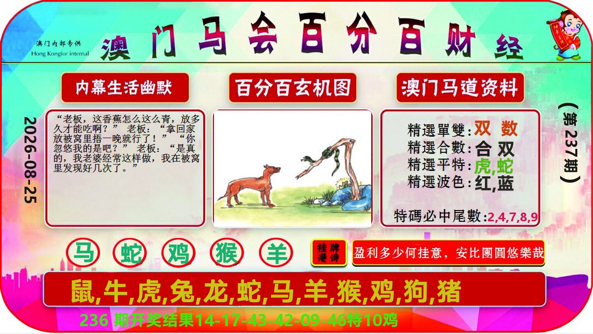 百分百财经 第237期