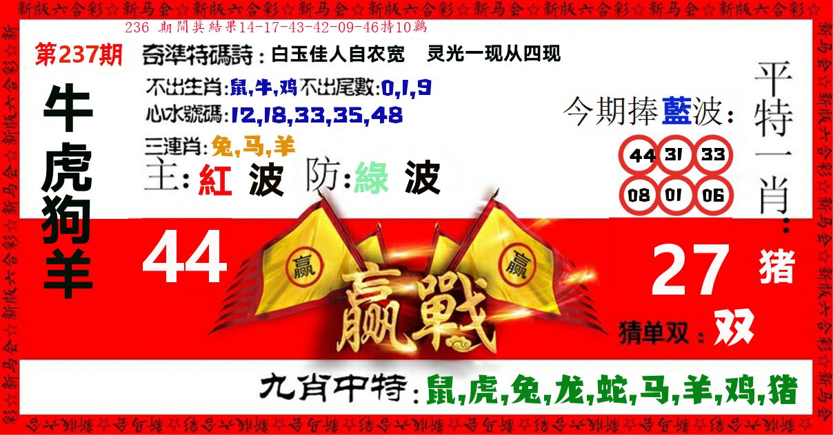 赢站 第237期