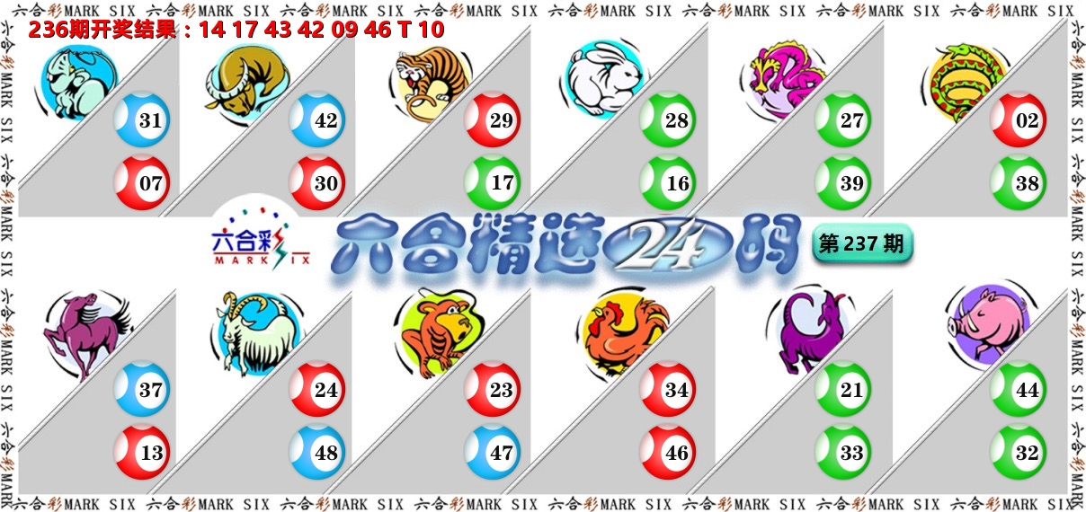 六合精选24码 第237期