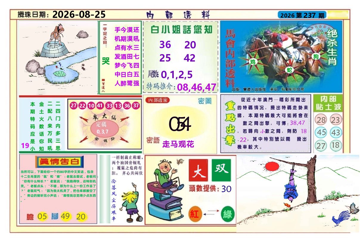 澳门内部透料A 第237期