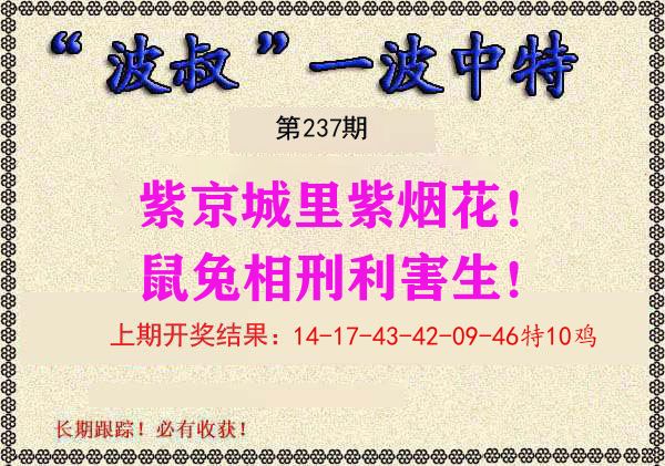 波叔中特 第237期