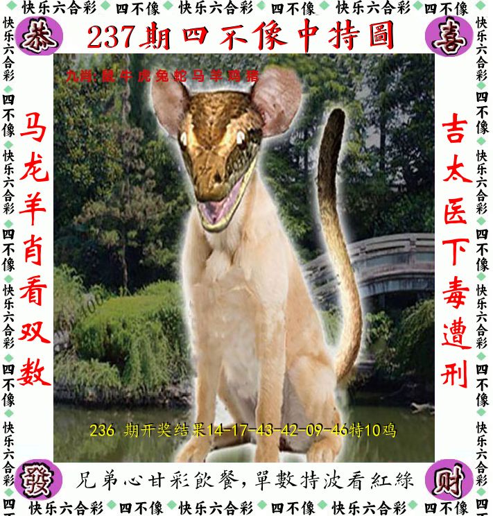 四不像 第237期