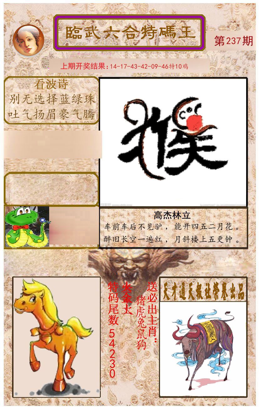 臨武六合特码王 第237期