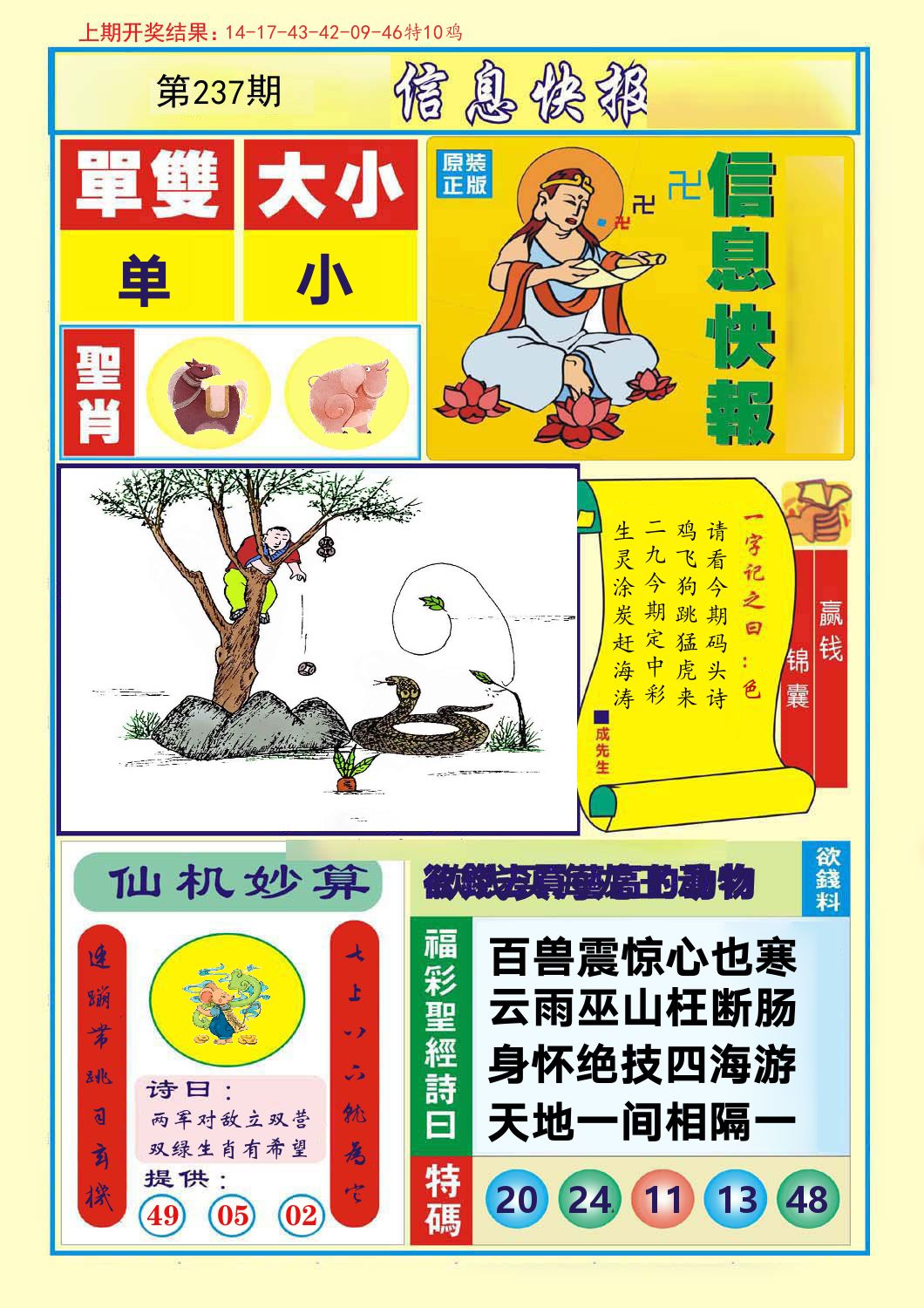 信息快报 第237期