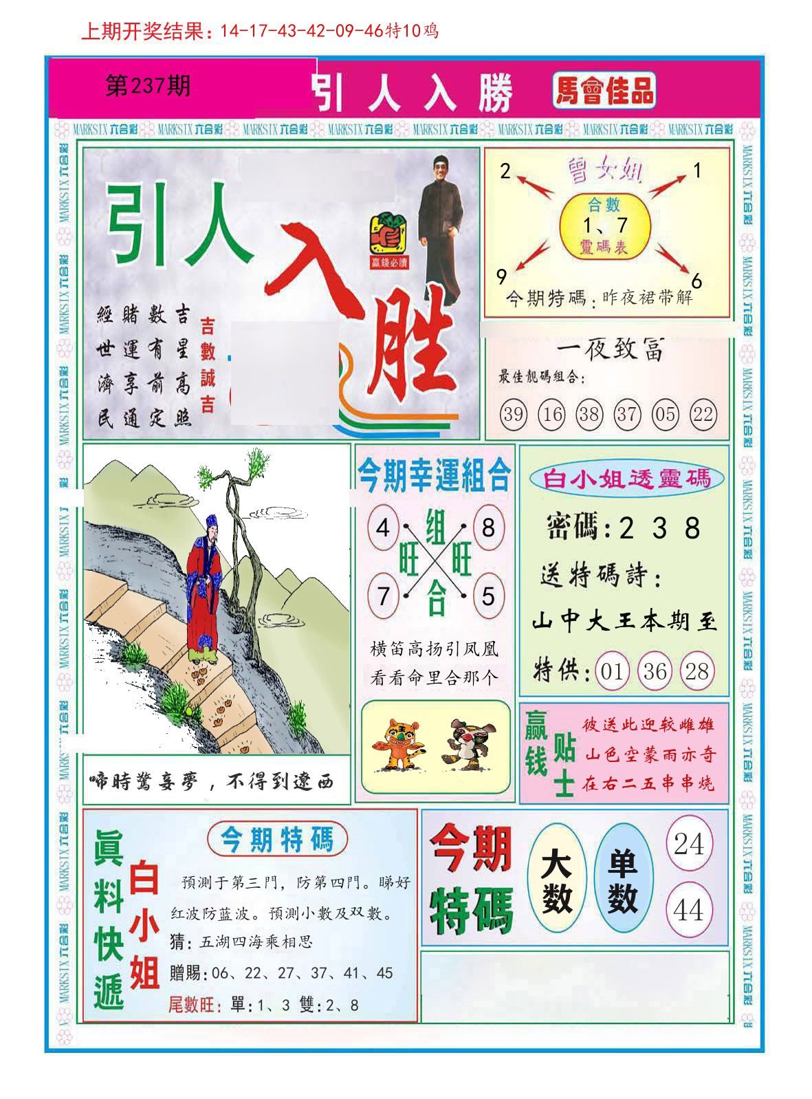 引人入胜 第237期
