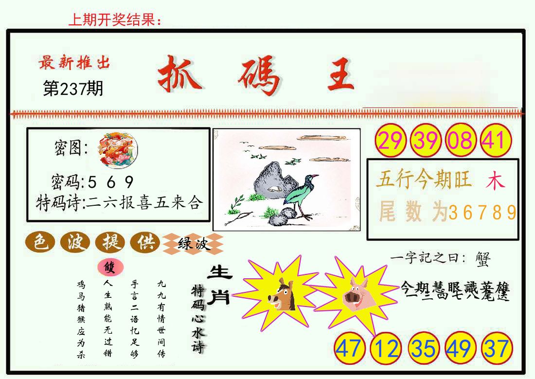 最新抓码王 第237期