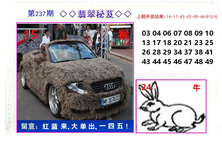 翡翠秘芨 第237期