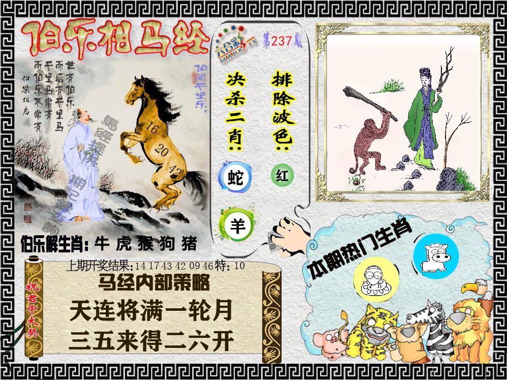 伯乐相马经 第237期