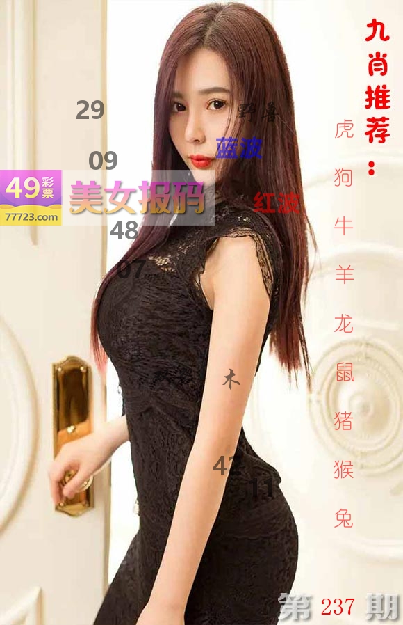 美女报码 第237期