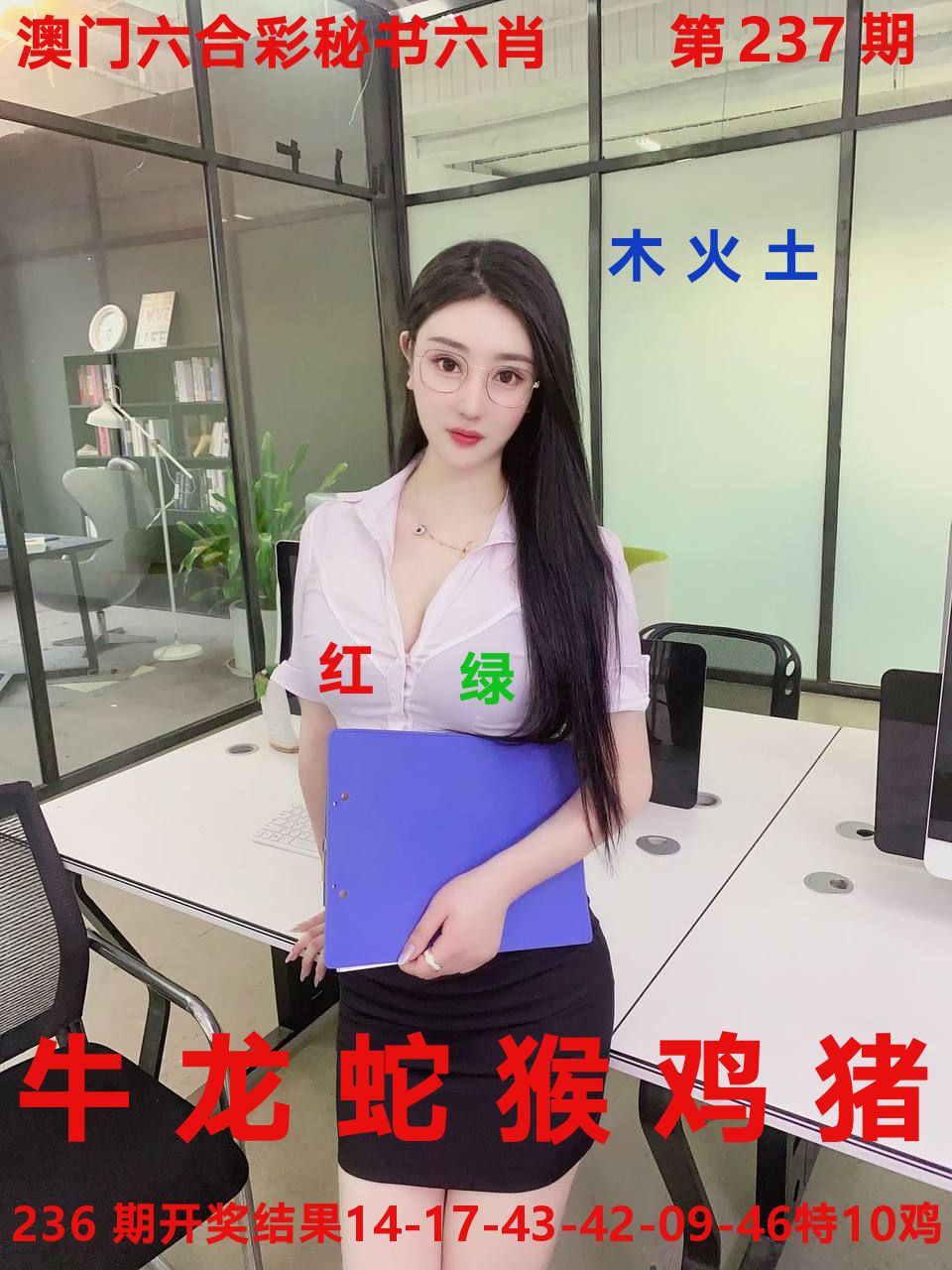 秘书六肖 第237期