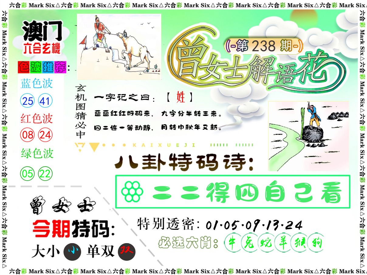 曾女士解语花 第238期