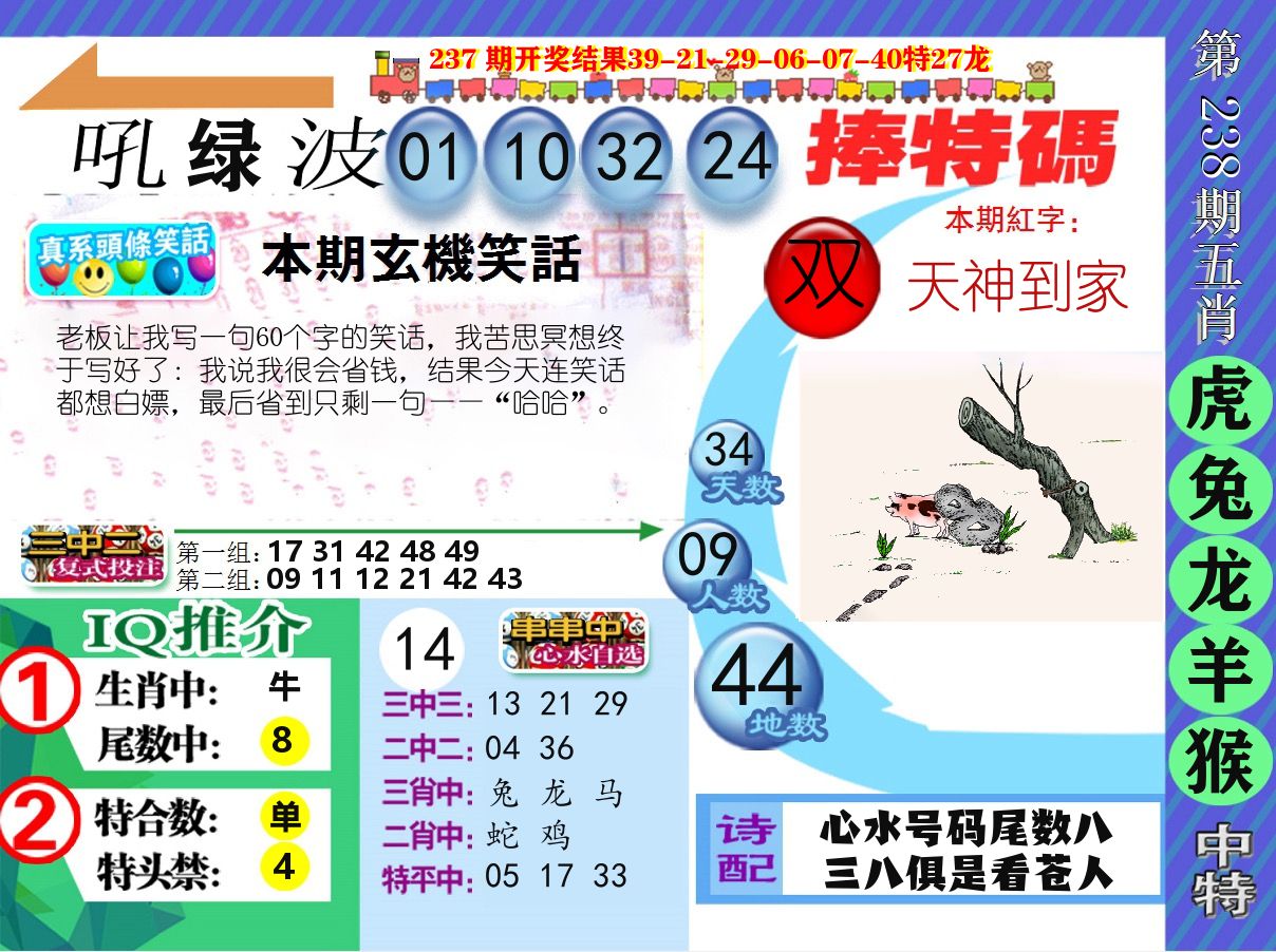 新特报 第238期