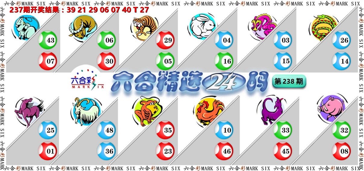 六合精选24码 第238期