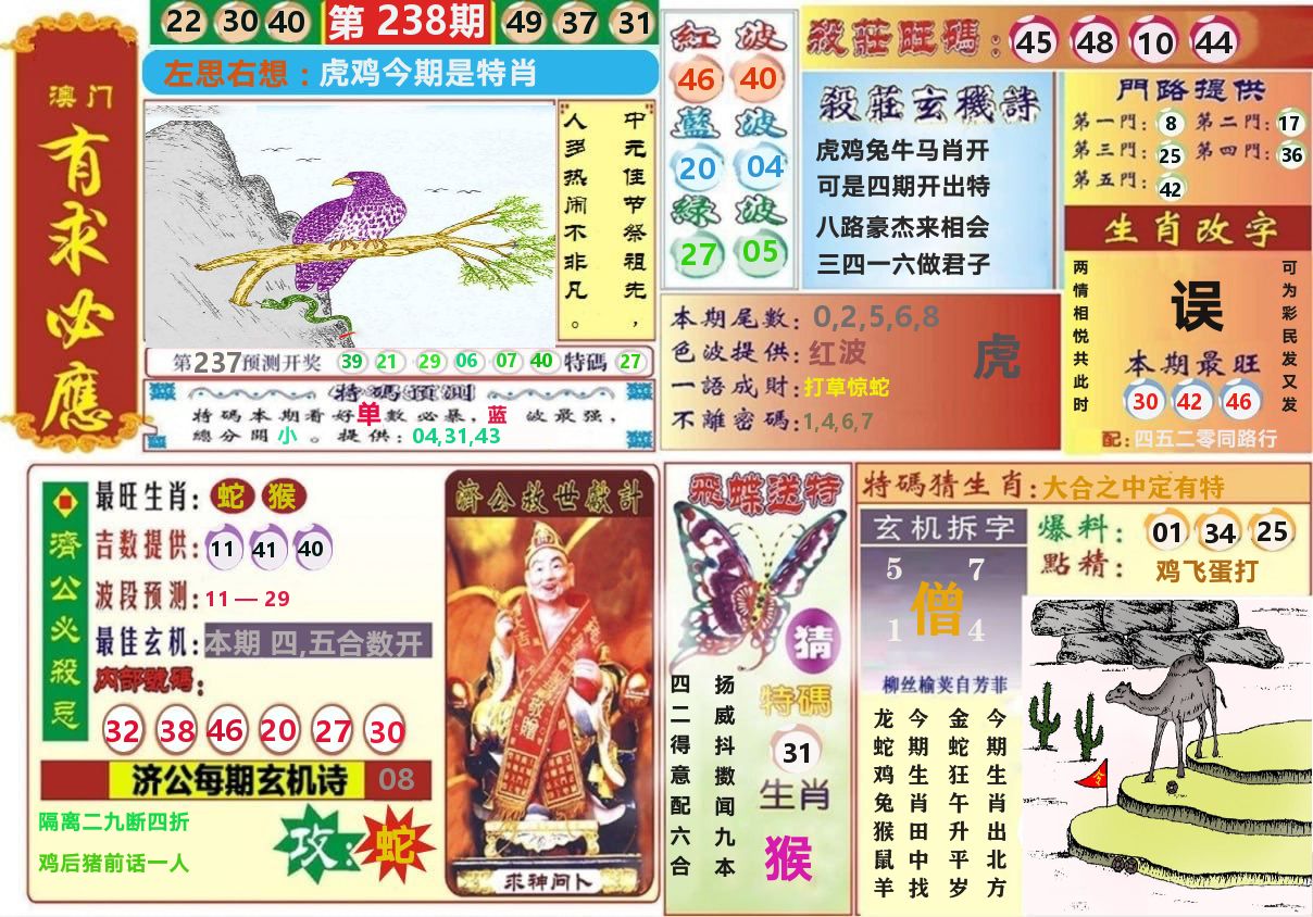 澳门有求必应 第238期