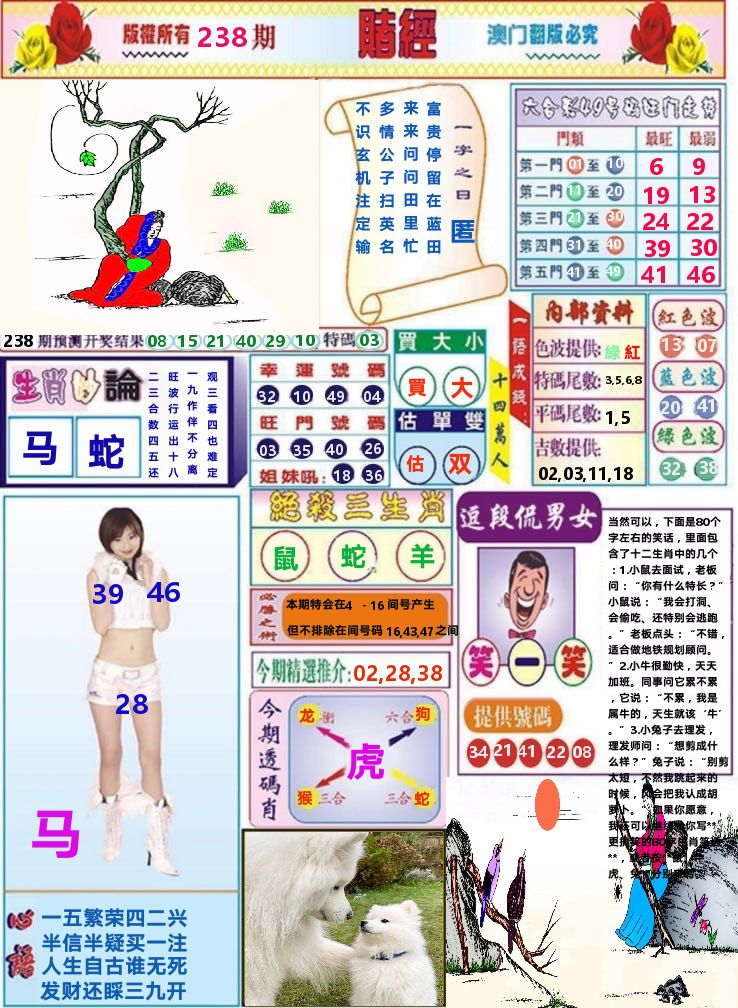 澳门赌经 第238期