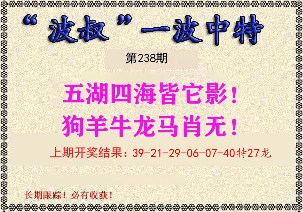 波叔中特 第238期