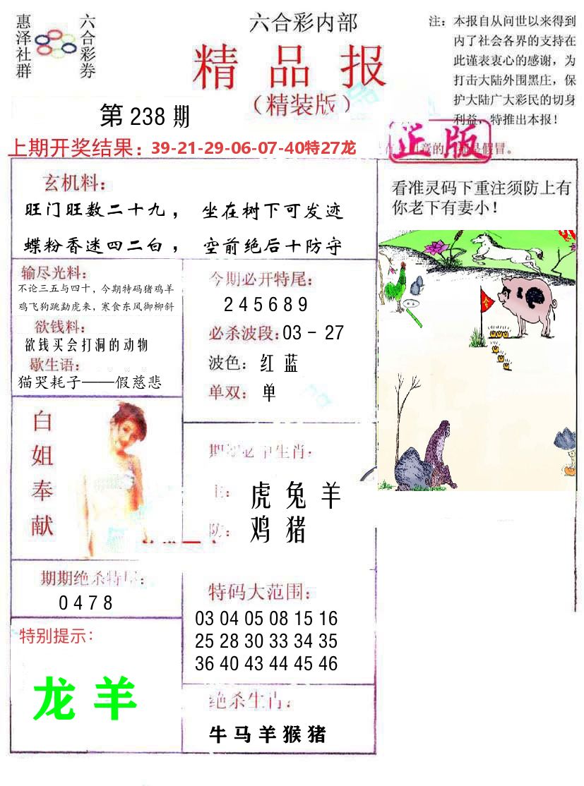精品报 第238期