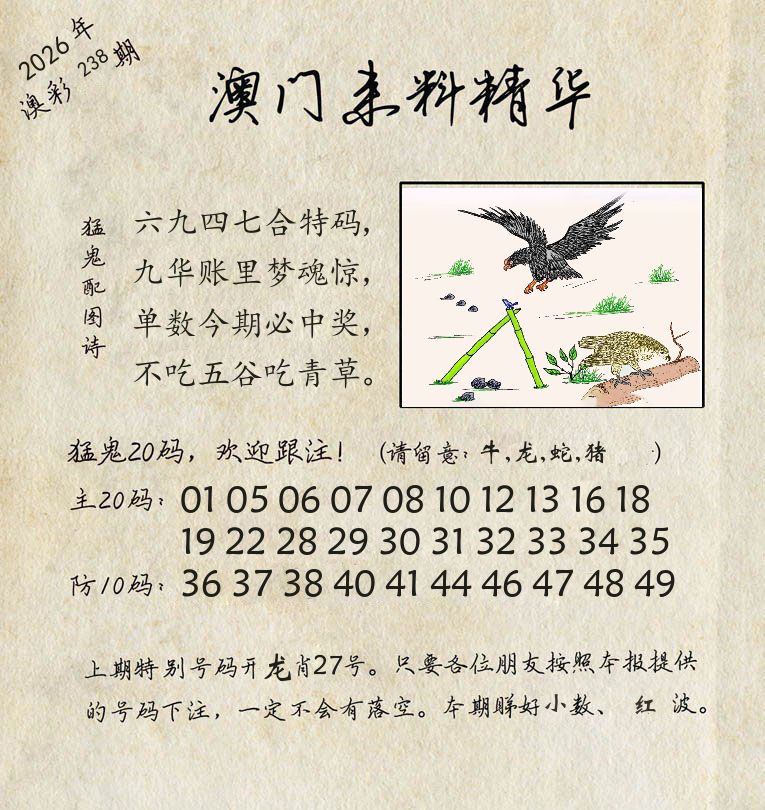 精华来料 第238期