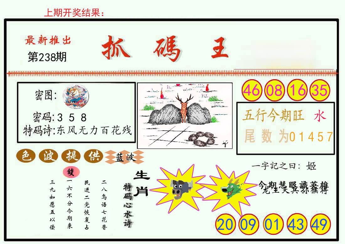 最新抓码王 第238期