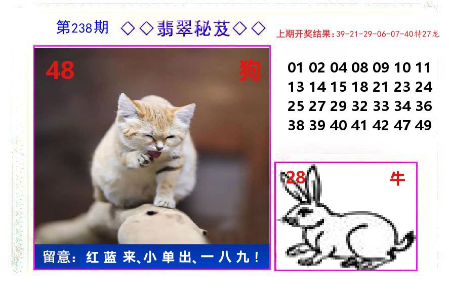 翡翠秘芨 第238期