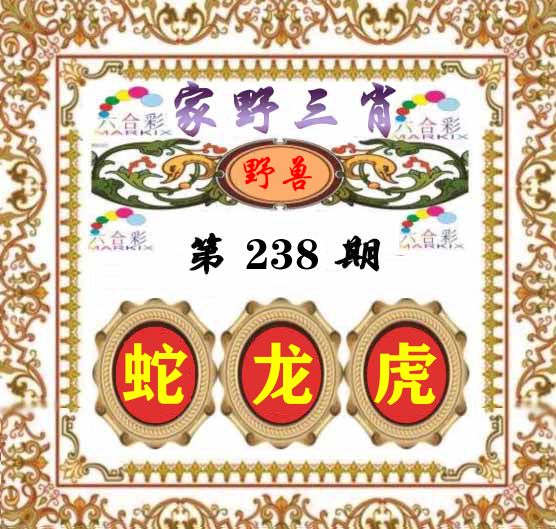 家野三肖 第238期