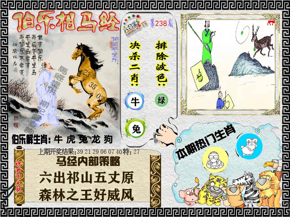 伯乐相马经 第238期