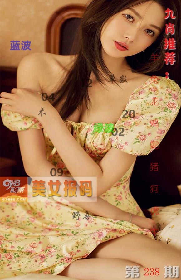 美女报码 第238期