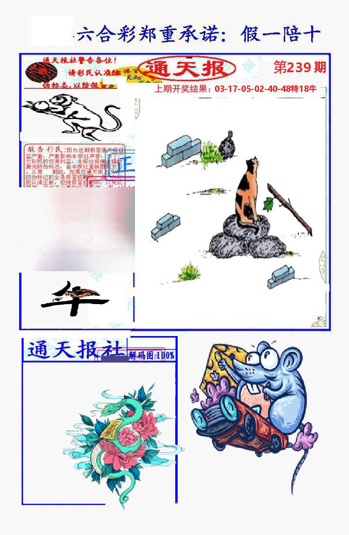 通天报 第239期