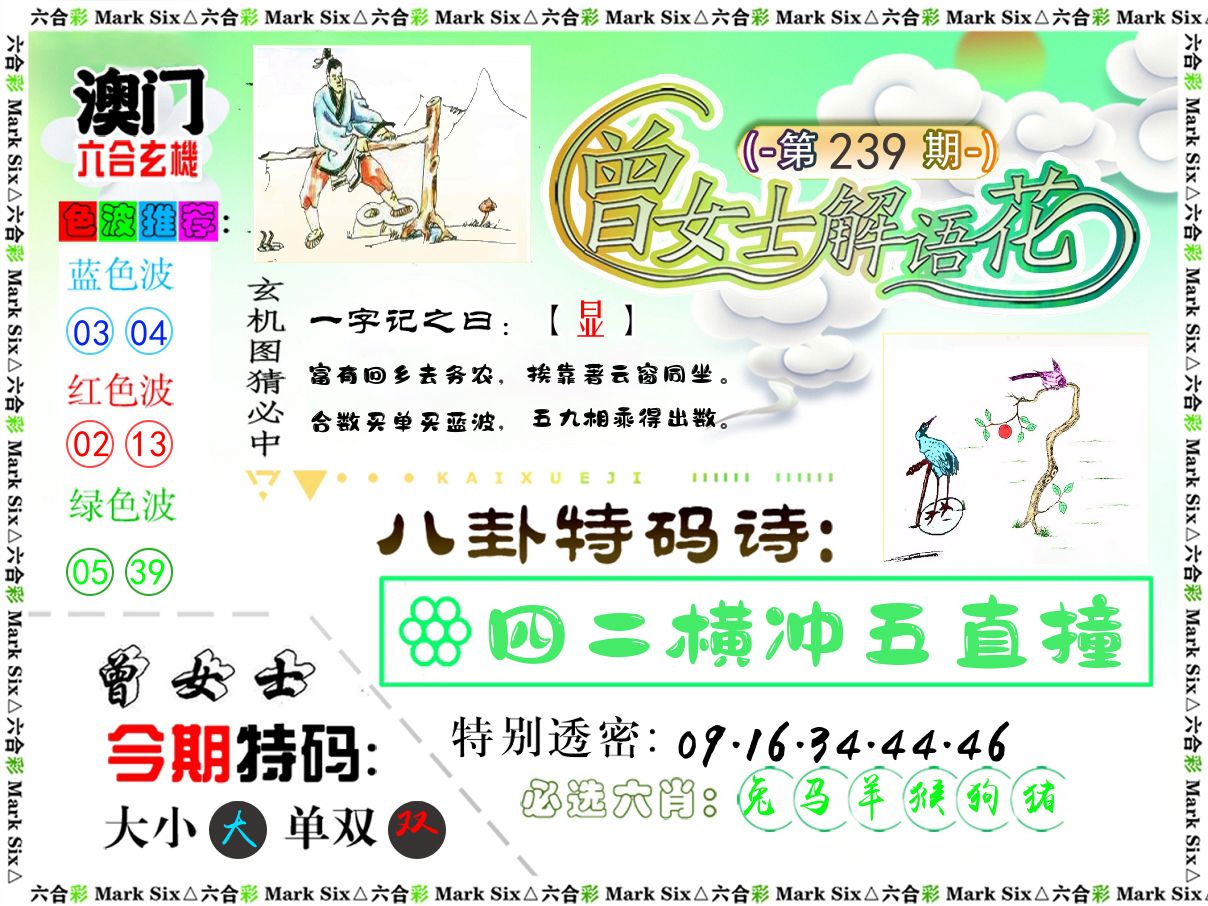 曾女士解语花 第239期