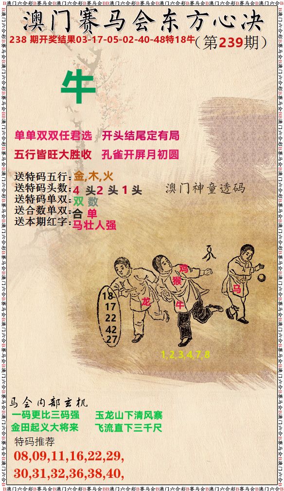新东方心经 第239期