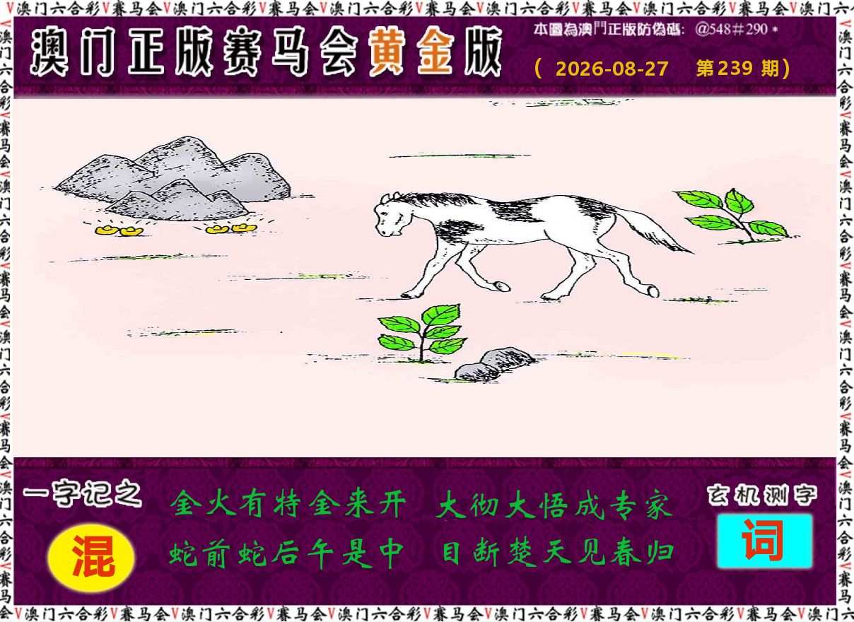 赛马会黄金版 第239期