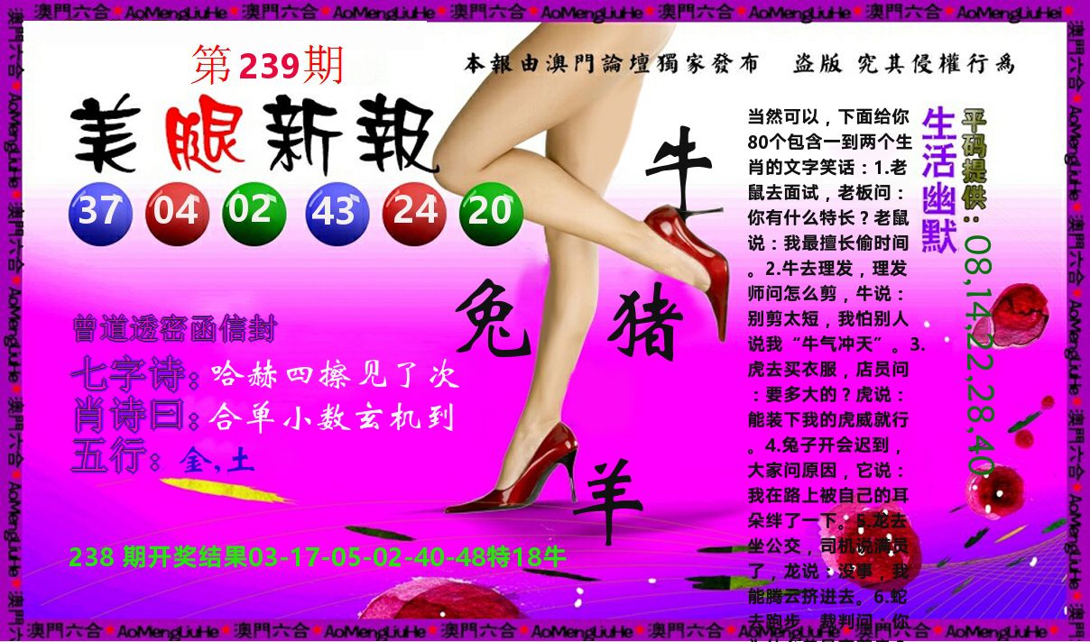 美腿新报 第239期