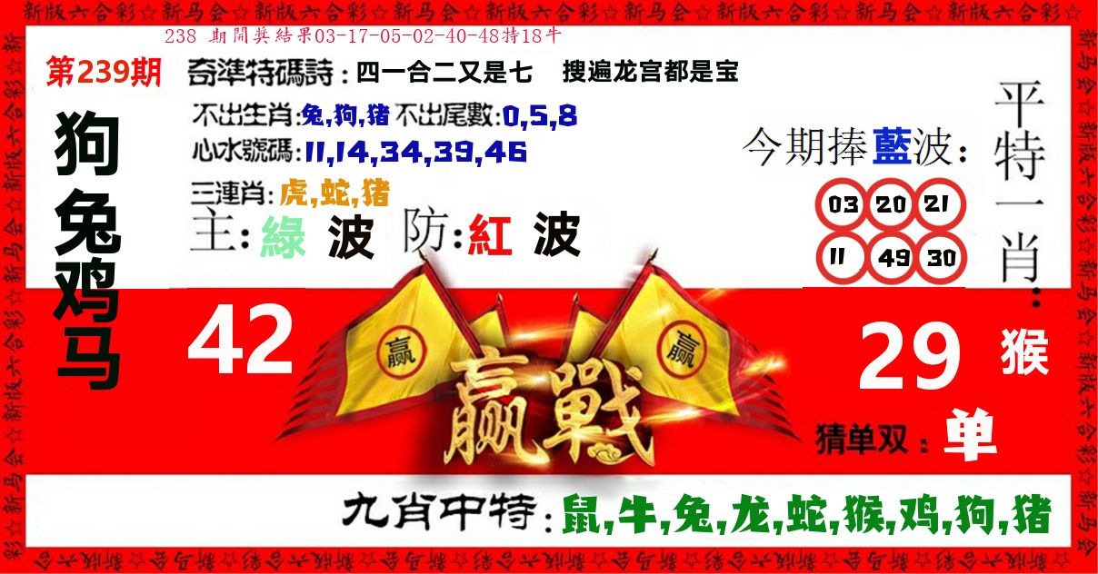 赢站 第239期
