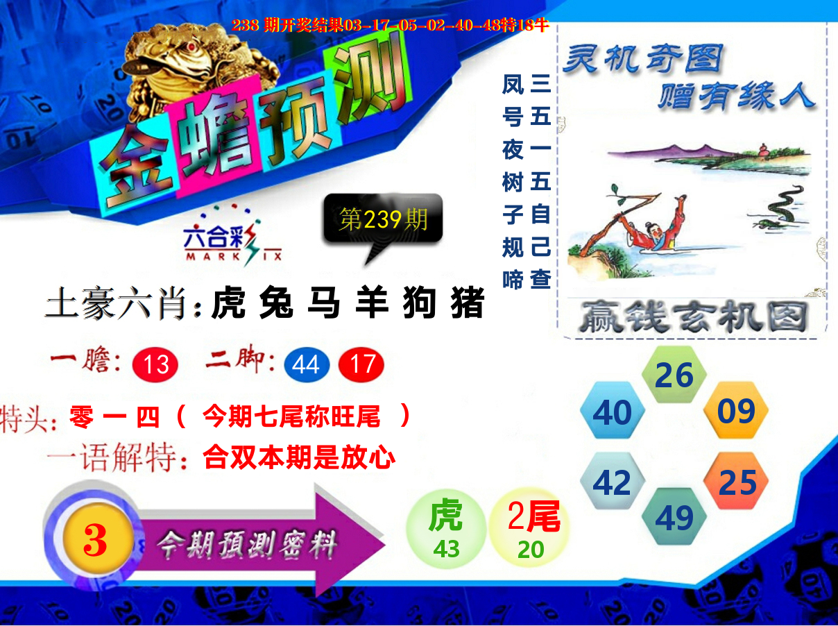 金蟾预测 第239期