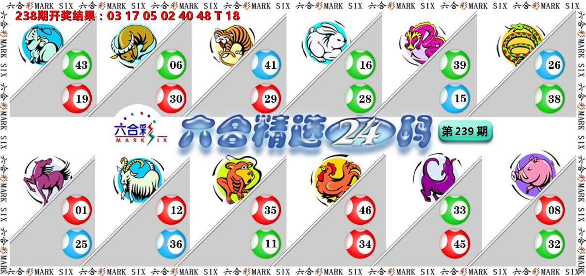 六合精选24码 第239期