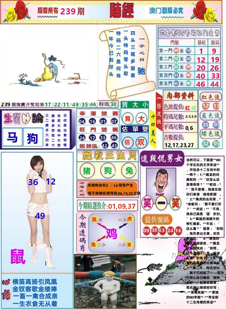澳门赌经 第239期