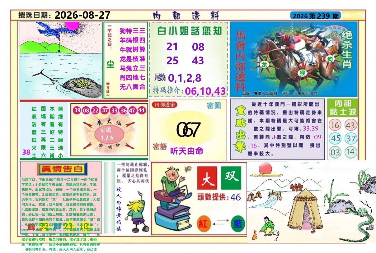 澳门内部透料A 第239期