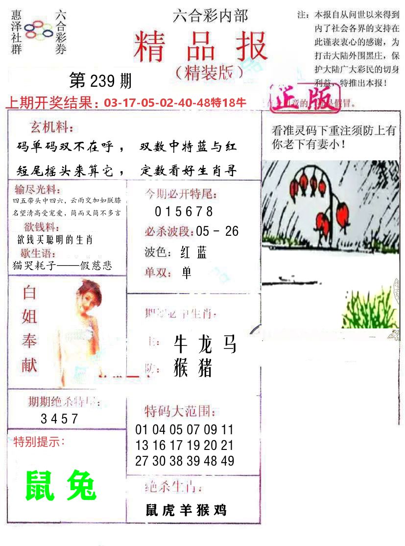精品报 第239期